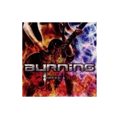 Burning. Damage Vs Zeta