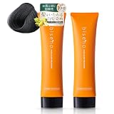 【オーガニック 白髪ケア】biseno ヘアカラートリートメント ナチュラルブラック 150g×2 (約2か月分) ジアミンフリー レディース メンズ フローラルの香り 植物由来