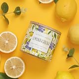 Lemon Candle, Lemon Verbena Scented Candle, Large 3 Wicks Candle, 14 oz