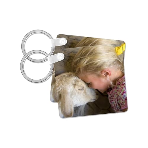 3dRose, CA Palm Desert, Living Desert, Child and goat - US05 LHO0020 - Lisa Hoffner, set of 4 Key Chains
