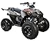 HHH Sporty 125E ATV 125cc ATV Quad for Youth Sports Utility Gas Power Sports ATV with Reverse Led Lights Big Tires 18/19 (Yellow)