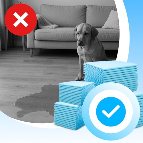 Retoo Trainingspads für Hunde & Welpen 40x60 cm, 100 Stück PIPI Matten Einweg – 6-lagig, Auslaufsicher & Saugfähig, Schnell Trocknende Oberfläche – Ideal für Inkontinenz & Stubenreinheit