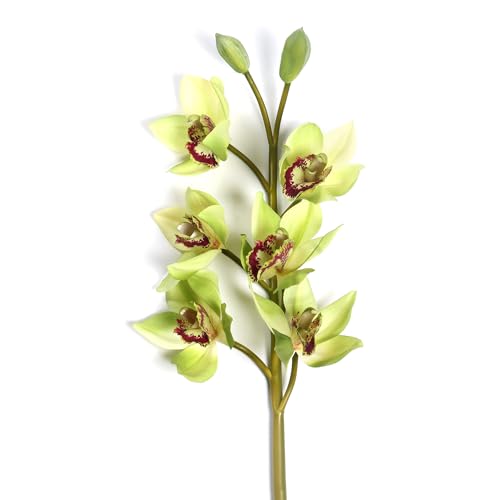 Image of PURE HOME + LIVING Green Faux Boat Orchid Spray Blossom Artificial Orchid Flowers with Pot for The Home, Garden, Office Artificial Blossom Flowers(Height-76cm) Pack of 1