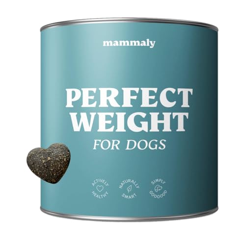 11-in-1 L-Carnitin & Cellulose Snack - Gewichtsmanagement für Hunde - Perfect Weight 270 Snacks (325g) von mammaly - Diätfutter kann beim Abnehmen Hund helfen - Futterzellulose zur Gewichtskontrolle