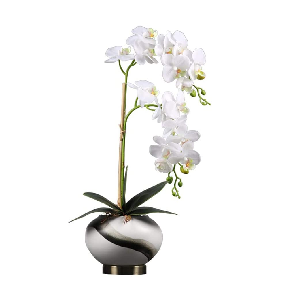 Phalaenopsis Künstliche Blume mit Keramikvase, Seiden-Gefälschte Blume für Zuhause, Hotel, Wohnzimmer, Eingangsdekoration, Kunststoff-Blumen-Mittelstück, Heimdekoration
