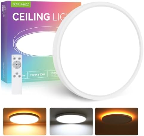 Dimmable Flush Mount LED Ceiling Light Fixture with Night Light, 12 Inch 24W Super Slim Ceiling Lamp with Remote, 2400LM Super Bright, 2700K-6500K CCT Selectable, for Bedroom Living Room Kitchen