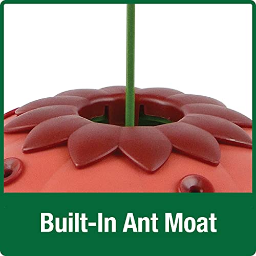 Wild Wings Wwm3D1 Real Mini 3D Hummingbird Dish Feeder, Red #TOP5