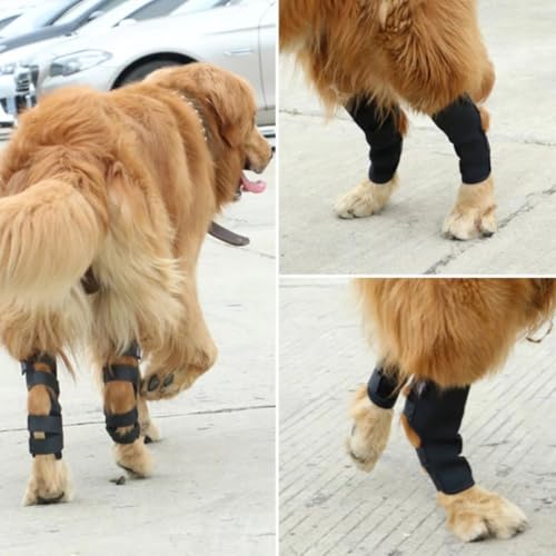 Image of iHOO 1 Pair Dog Front Leg Brace, Prevents Injuries and Sprains,Knee Support for Dogs with 2 Bandages L