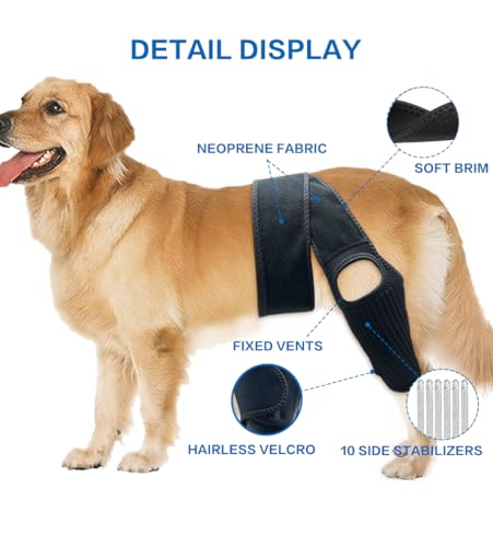 Image of Dog Knee Brace, Dog Leg Brace with 10 Stabilizers, Adjustable Dog Knee Brace for Torn Acl Hind Leg, Joint Pain, Kneecap Dislocation, Cruciate Ligament Injury and Muscle Sore, XL