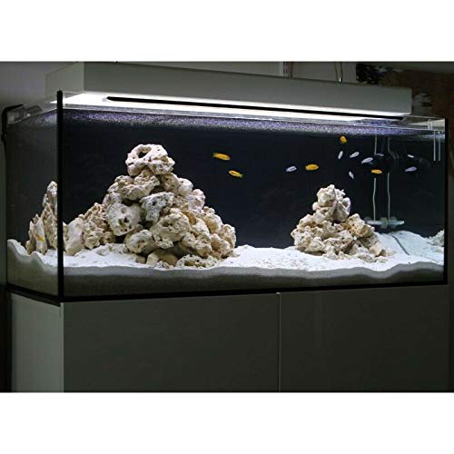 Sabbia Per Acquari Colorata | 2 Kg | Bianco | Non Tossica | Made In Italy | Granulometria 0.3-0.7 Mm