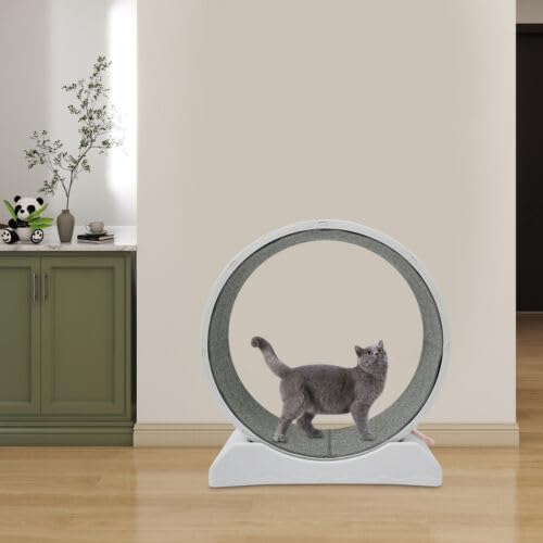 Rueda para gatos de 80 cm de diámetro, juguete de entrenamiento de seguridad ultraligero, adecuado para la mayoría de los gatos