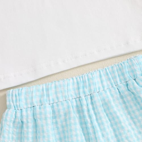 Image of Toddler Baby Boy Easter Rabbit Outfit Short Sleeve Bunny Carrot Smocked T-shirt Elastic Waist Shorts Summer Clothes