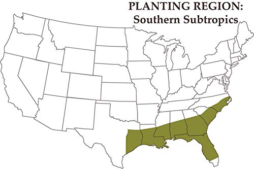 Nature's Seed Southern Subtropics Big Game Food Plot Pasture Blend (1/2 Acre),PB-SSBG-0.5-A - Thumbnail 3