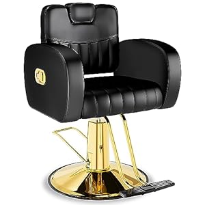 Baasha Ergonomic Black and Gold Salon Chair with Comfortable Thickened Cushions, Heavy Duty Stylist Chair with Steel Frame, Stylish Hair Chair with Leather Upholstery, Weight Capacity 440 lbs