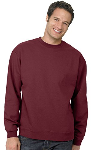 Hanes Men's EcoSmart Sweatshirt