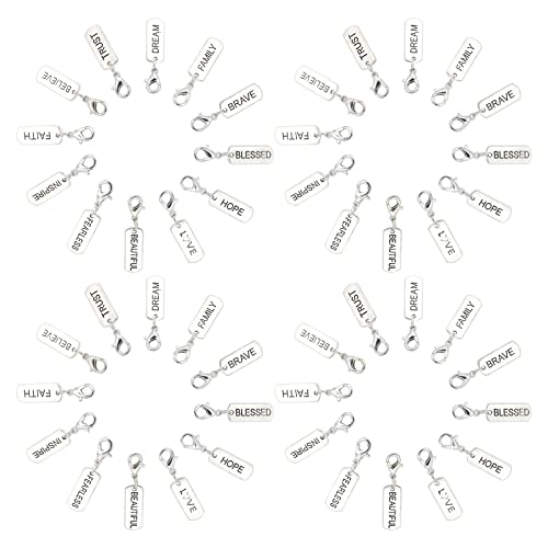 SUNNYCLUE 1 BOX 48Pcs 12 Styles Word Charm Pendants Alloy Engraved Motivational Inspiration Rectangle Pendant Tibetan Style Lobster Clasps for Jewelry Making Charms Bracelets Supplies Antique Silver