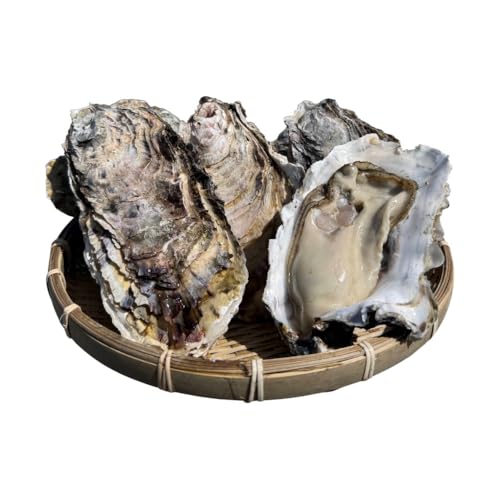 宮古湾産 生牡蠣 訳あり 加熱用むき身 500g 牡蠣 加熱用 むき身 訳あり冷凍 牡蛎 牡蠣 かき カキ 冷蔵