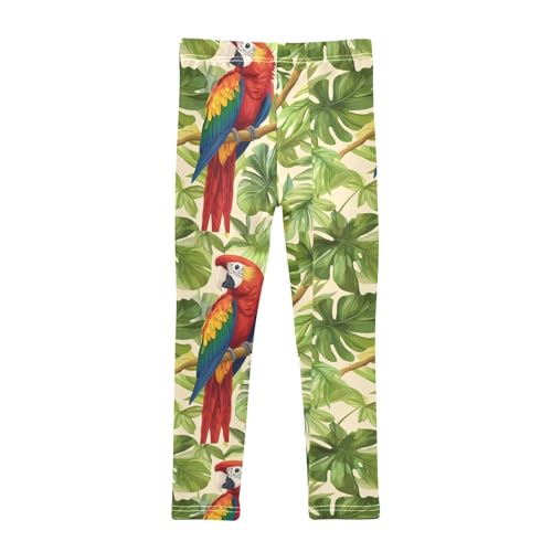 Girls Leggings Tropical Jungle Birds Parrot Toddler Girls Clothes Leggings for Girls Toddler Girls Leggings 3-4T2
