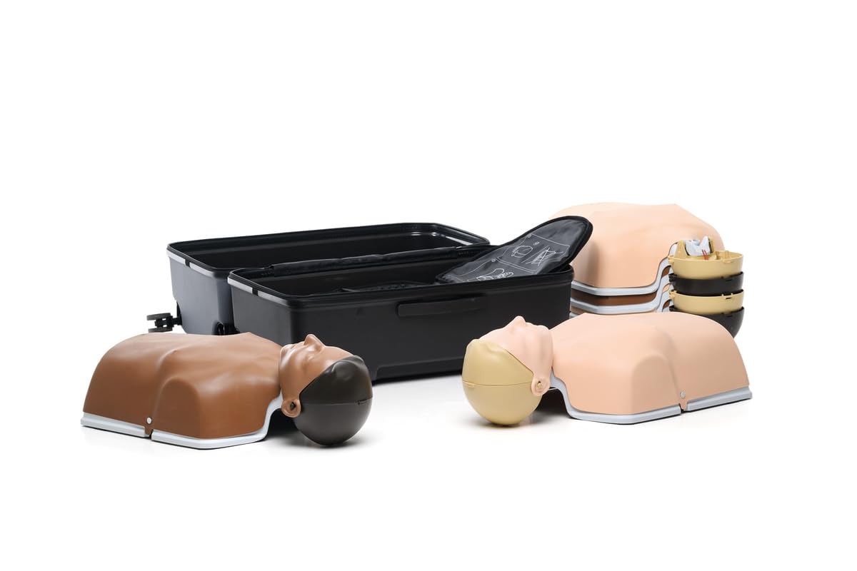 Little Anne Combo 6-pack