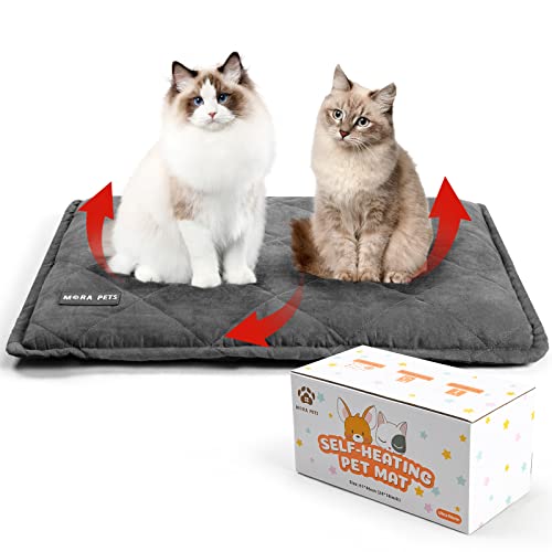 Amazon.de Best Sellers The most popular items in Cat Bed Mats