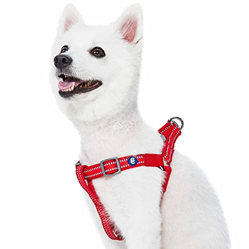 Blueberry Pet Essentials Step-in Reflective Back to Basics Dog Harness, ...