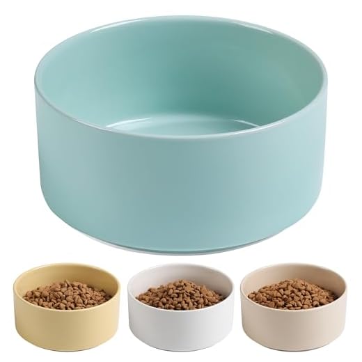Kitwinney Dog Bowls, Non Slip Heavy Ceramic Dog Food and Water Bowl with Silicone Base, Pet Feeding Bowl for Puppies, Small and Medium Dogs (Glossy Light Green, 6 Inches)