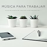 flujo de trabajo lightroom photoshop  Música Para Trabajar: Flujo Relajante Del Agua En La Naturaleza Vol. 1