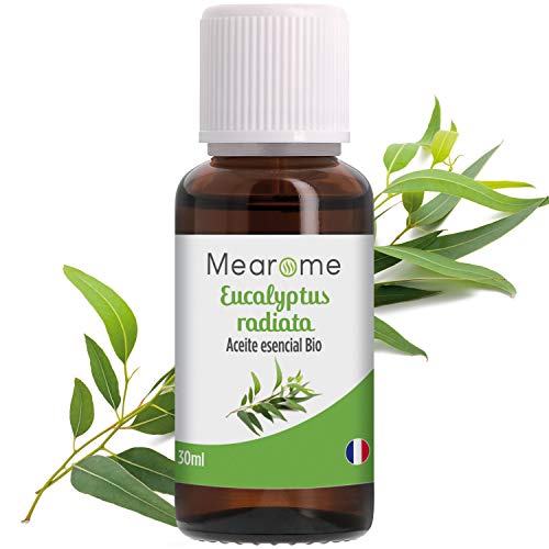 Aceite Esencial | Eucalipto Radiata | Puro | 30 ml | 100% Natural