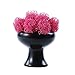 Produktbild NYKK Künstliche Blume Künstliche Blumen Bonsai kreative Minimalist Stil for Hotel Tea Room 11,8 Zoll gefälschte Blumen-Bonsais mit Keramik Blumentopf (rot) Ewige Blume