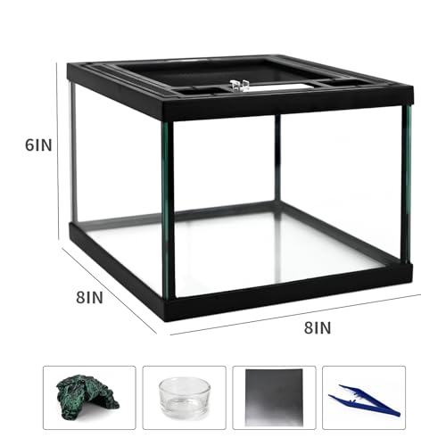 Kits iniciantes de mini tanque de terrário de vidro para répteis, 20 x 20 x 15 cm, caixa de alimenta