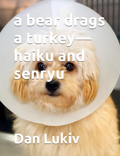 a bear drags a turkey—haiku and senryu