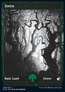 Forest (V.1) MID-276 Land Englisch Excellent - Innistrad: Midnight Hunt - mit ReCollectibles-Versandschutz - für Magic/MTG