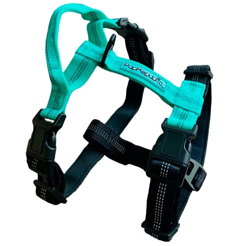 PupRepublic Dog Harness - Strong, Comfortable, Breathable & Fully Adjustable No Pull Harness For Dogs - Dog Harness Large Dog (Aqua & Black, Large)