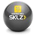 Sklz Contact Weighted Training Ball