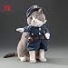 Coomir Divertido Chino Princesa Cosplay Ropa para Gatos Perros Halloween Navidad Disfraz...