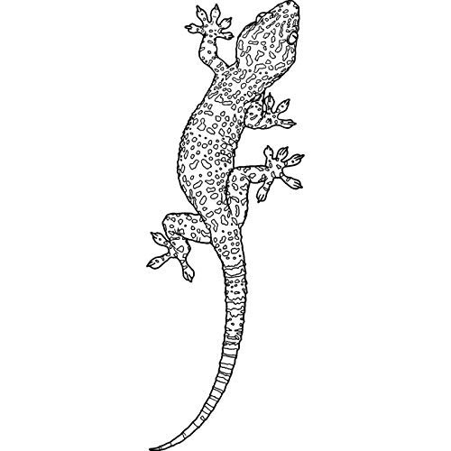 'Tokay Gecko' Rubber Stamp - Unmounted Design for Crafting & Scrapbooking, A7 (RS00037166)