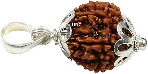 TheGalaxy 12 Mukhi Rudraksha Original Certified Nepali With Capping Pendant 12 Mukhi Twelve Face Nepali Rudra Blessings 12...