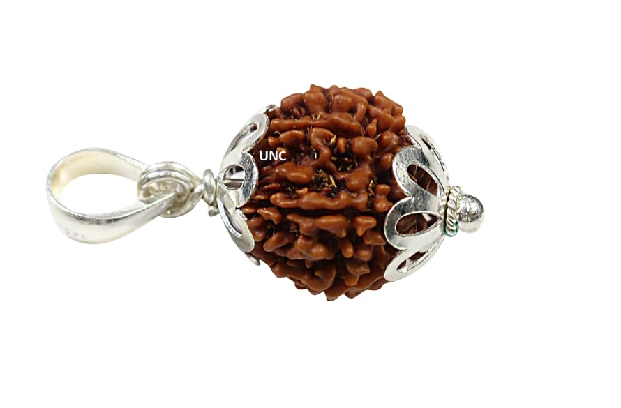 TheGalaxy 12 Mukhi Rudraksha Original Certified Nepali With Capping Pendant 12 Mukhi Twelve Face Nepali Rudra Blessings 12... - Review, Price and Buying Guide