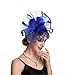 SAFERIN Fascinator Feather Mesh Net Veil Wedding Church Tea Party Hat Flower Derby Hat Women Girl (TA1-Sapphire Blue)