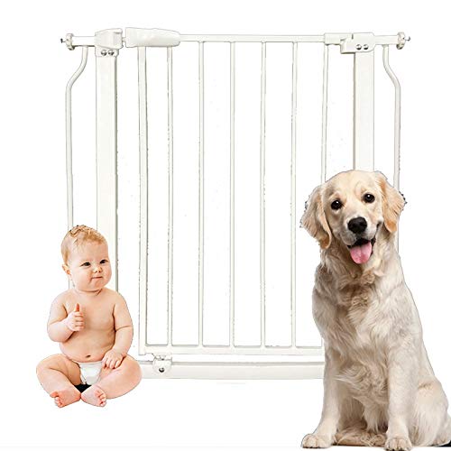 Parcs pour animaux de compagnie et barrière de sécurité rétractable pour chiens de 70 à 73.9cm