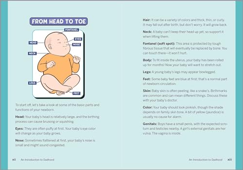 The Ultimate Baby Book for New Dads: 100 Ways to Care for Your Baby in Their First Year