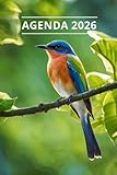 AGENDA 2026 - OISEAUX: Petit format de poche | 4 langues | Janvier à Décembre 2026 | 52 semaines | 1 semaine sur 2 pages | Format pratique 10x15 cm, 115 pages | Fantaisie, original | Cadeau à offrir