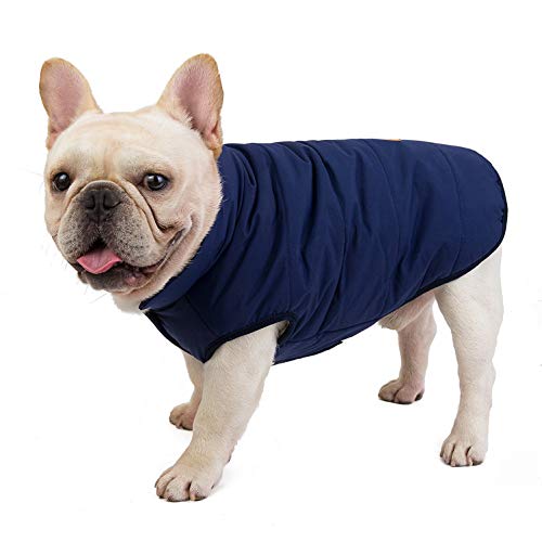 SMALLLEE_LUCKY_STORE - Giacca bomber foderata in pile, per cani di bulldog e grassi, invernali, caldi e francesi, taglia XL, colore: blu navy