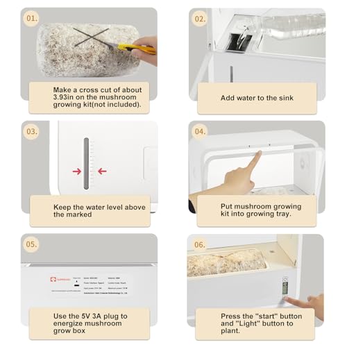 Kit de culture de champignons avec affichage LED, contrôle automatique de la température et de l'humidité, fenêtres d'observation transparentes pour une culture facile