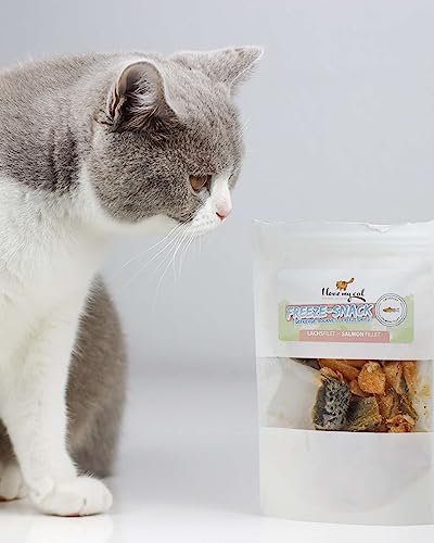 I Love My cat Freeze-Snack für Katzen Lachsfilet (gefriergetrocknet) 25 g Gesunde Snacks für Katzen, frei von künstlichen Zusätzen. Natürliche Katzenleckerlies.