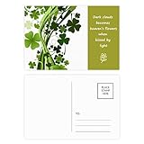 Matériau : papier lisse et de haute qualité.