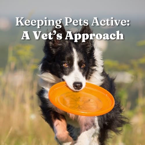 Keeping Pets Active: A Vet’s Approach cover art