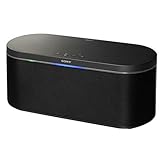 Sony SRS BT 100 - Altavoz con Bluetooth de 30 W, color negro