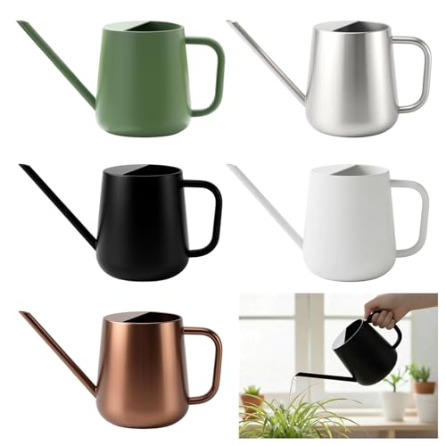 Arrosoir en acier inoxydable 1000 ml pour fleurs de maison - 3