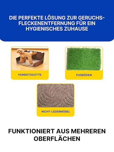 Japan Premium Natürlich Geruchsneutralisierer | Hundeurin Geruchsentferner mit Yomogi & Catechin | Besser als herkömmlich Enzymreiniger | 270 ml mit Bergkräuter Frischeduf